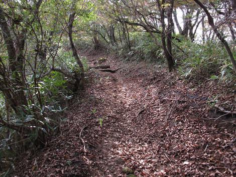 20181025hike (184)